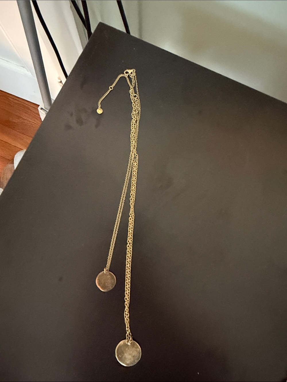2 necklaces JCrew Gold-Tone Layered Necklace with Disc Pendant and gold chain